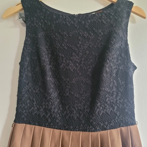 Eva Franco, Fit and Flare Dress, Lace and Scuba Stripe, Black and Brown, Size 6 - Picture 4 of 7